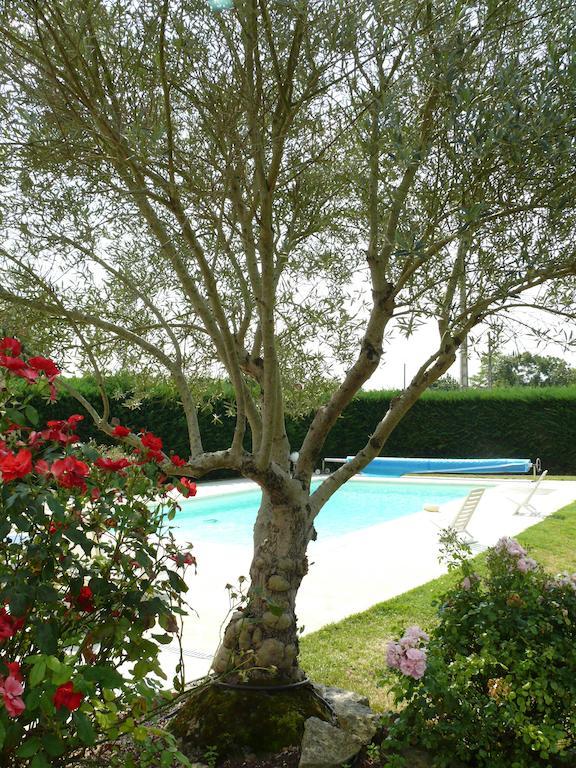 Le Clos De La Vigne Montreuil  Eksteriør billede